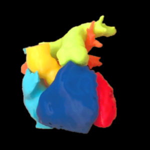 Human Heart Blood Pool Model – Normal Anatomy