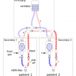 Cerberus Multi-ventSafe sharing of one ventilator for two patients with widely different size and lung compliance